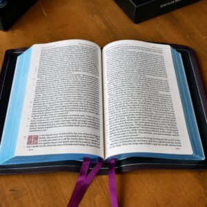 Schuyler Treveris ESV, Full Yapp Dark Purple Goatskin Bible