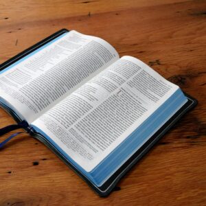 Schuyler Quentel NLT Black Pearl Calfskin Bible