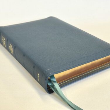 Allan NASB Readers Edition, Petrol Blue Goatskin Bible (Red Under Gold)