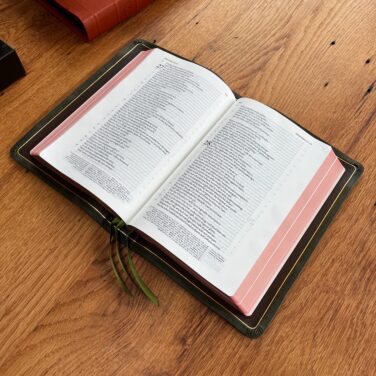 IMPERFECT P37: Schuyler Stridon ESV, Full Yapp Olive Green Calfskin Bible