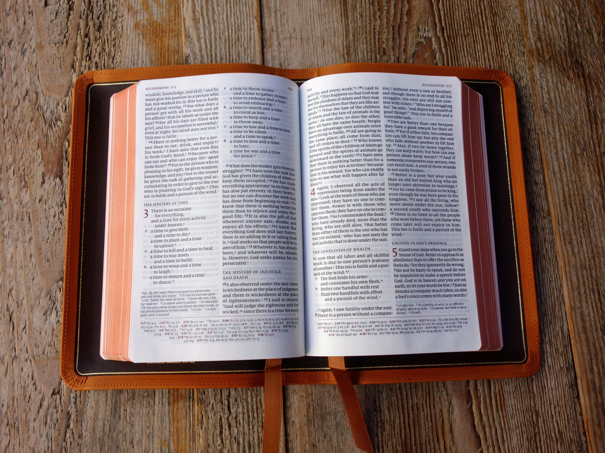 Schuyler Personal Size Quentel Csb Evbible