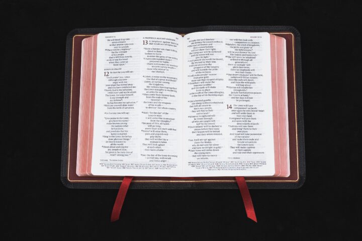 Schuyler Personal Size Quentel NIV, Full Yapp Black Goatskin Bible – PREORDER - Image 2