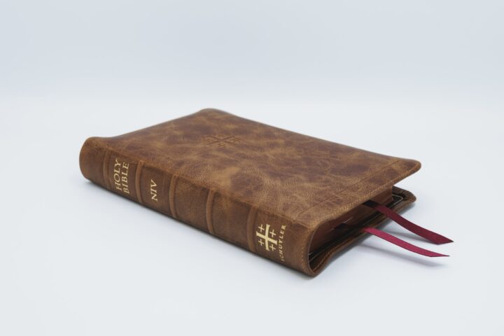 Schuyler Personal Size Quentel NIV, Full Yapp Desert Camel Calfskin Bible – PREORDER