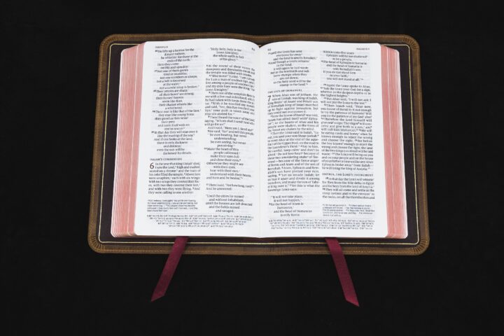 Schuyler Personal Size Quentel NIV, Full Yapp Desert Camel Calfskin Bible – PREORDER - Image 4