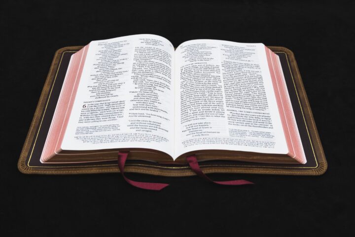 Schuyler Personal Size Quentel NIV, Full Yapp Desert Camel Calfskin Bible – PREORDER - Image 2