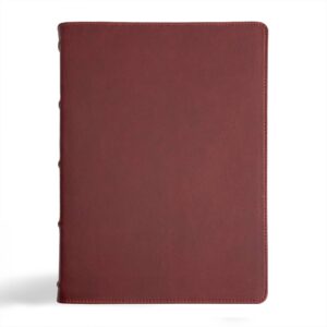Holman CSB Verse-by-Verse Reference Bible, Handcrafted Collection, Marbled Burgundy Premium Calfskin