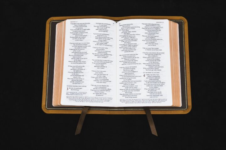 Schuyler Personal Size Quentel NIV, Full Yapp Tuscany Calfskin Bible – PREORDER - Image 4
