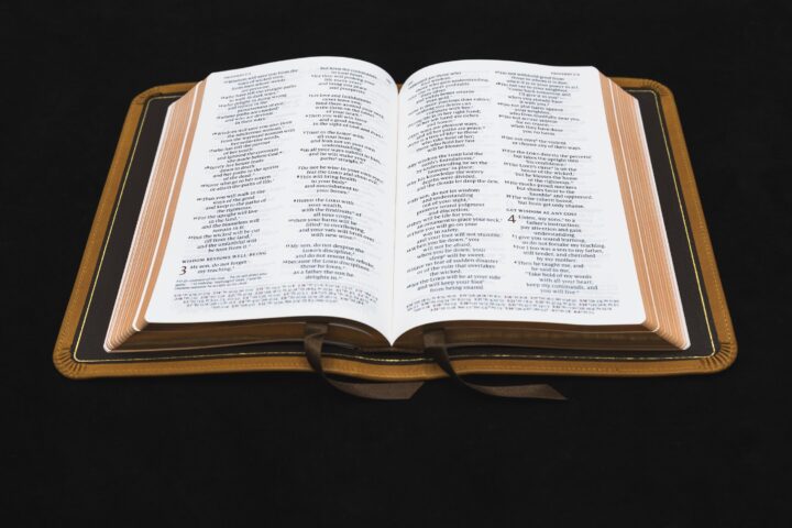 Schuyler Personal Size Quentel NIV, Full Yapp Tuscany Calfskin Bible – PREORDER - Image 2