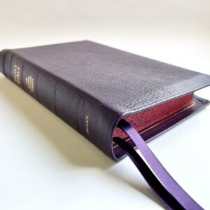 Allan NRSV Purple Highland Goatskin with Apocrypha (Deuterocanonical Books) – Speckled Page Edges