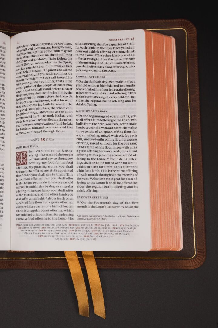 Schuyler Personal Size Quentel ESV, Full Yapp Chestnut Calfskin Bible - Image 3