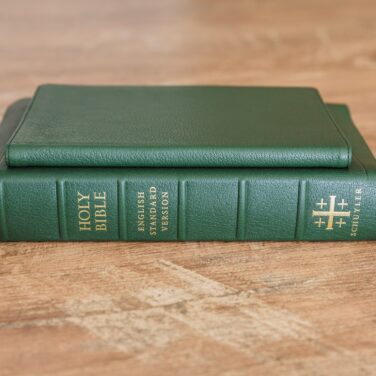 Schuyler Journal Dark Green Goatskin