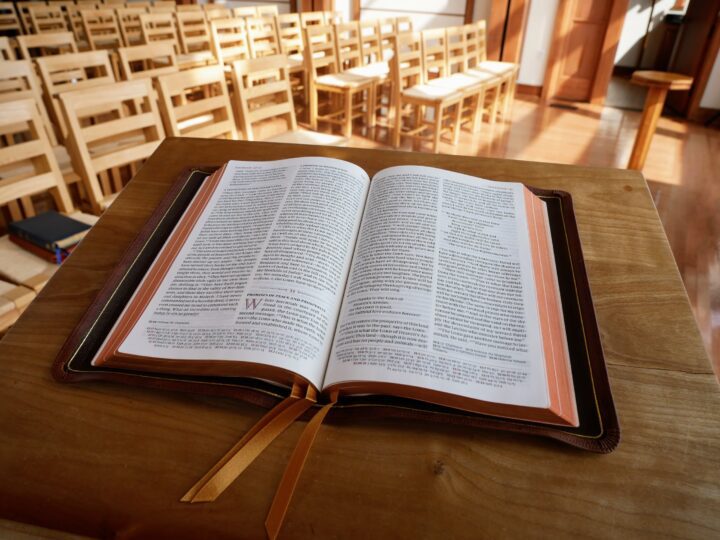 Schuyler Quentel NLT Full Yapp Chestnut Calfskin Bible - Image 5