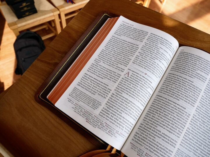 Schuyler Quentel NLT Full Yapp Chestnut Calfskin Bible - Image 4