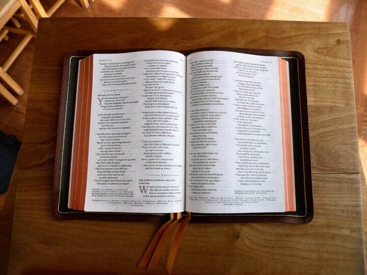 Schuyler Quentel NLT Full Yapp Chestnut Calfskin Bible - Image 3