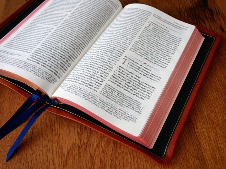 Schuyler Quentel NLT Full Yapp Siena Calfskin Bible - Image 4
