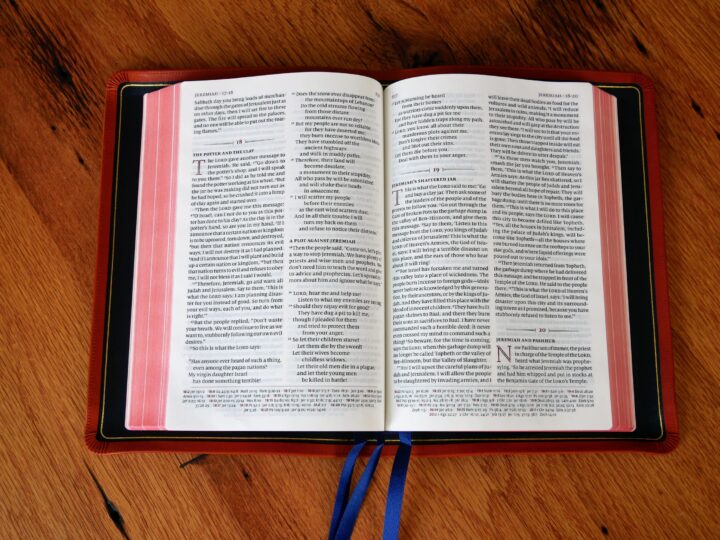 Schuyler Quentel NLT Full Yapp Siena Calfskin Bible - Image 3