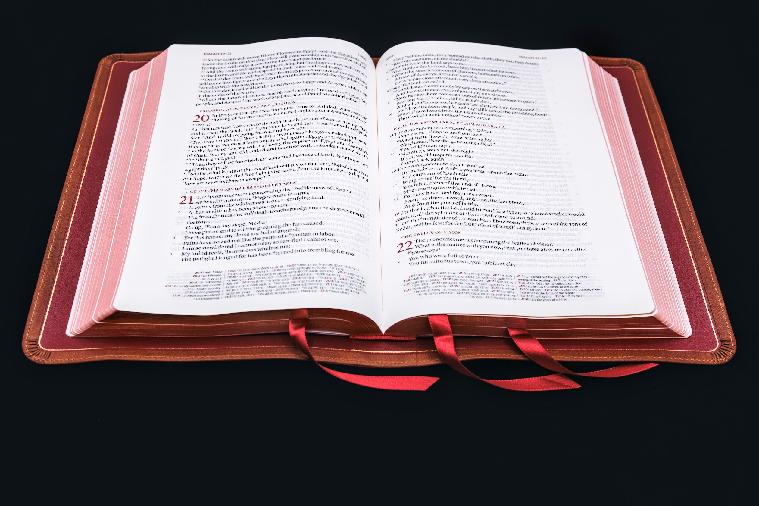 Schuyler Stridon NKJV, Full Yapp Saddle Brown Calfskin Bible - Image 2