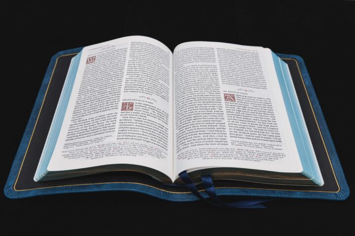 Schuyler Personal Size Quentel ESV, Full Yapp Marbled Sapphire Calfskin Bible - Image 2