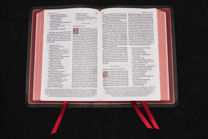 Schuyler Quentel ESV <em>with Apocrypha</em>, Full Yapp Black Goatskin Bible - Image 2