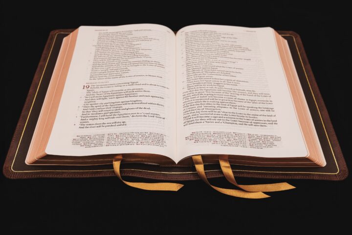Schuyler Stridon NASB, Full Yapp Chestnut Calfskin Bible – PREORDER - Image 4