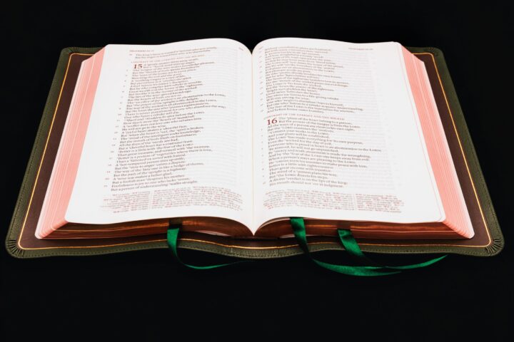 Schuyler Stridon NASB, Full Yapp Dark Green Goatskin Bible – PREORDER - Image 2