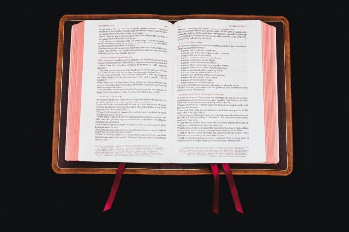 Schuyler Stridon NASB, Full Yapp Desert Camel Calfskin Bible – PREORDER - Image 5