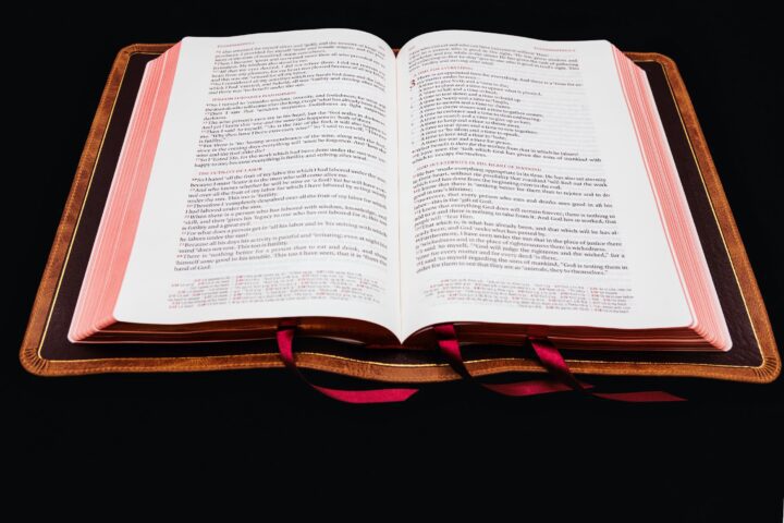 Schuyler Stridon NASB, Full Yapp Desert Camel Calfskin Bible – PREORDER - Image 4