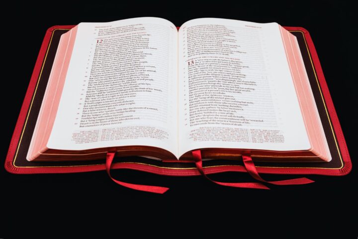 Schuyler Stridon NASB, Full Yapp Crimson Red Calfskin Bible – PREORDER - Image 5