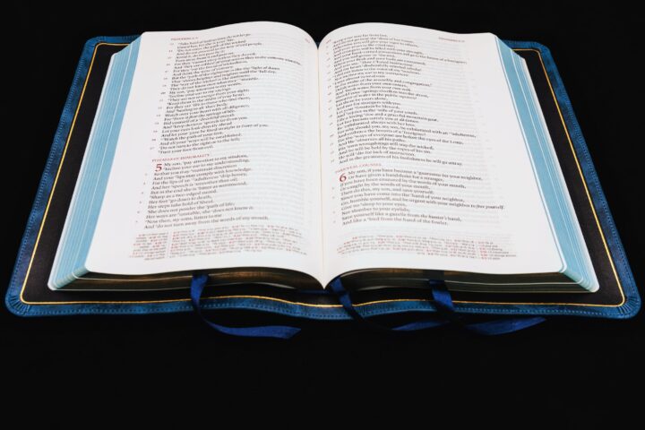 Schuyler Stridon NASB, Full Yapp Marbled Sapphire Calfskin Bible – PREORDER - Image 5
