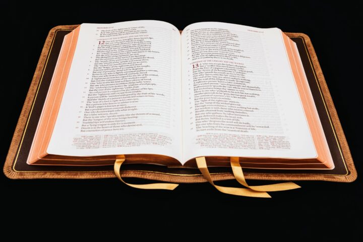 Schuyler Stridon NASB, Full Yapp Sandstone Calfskin Bible – PREORDER - Image 2