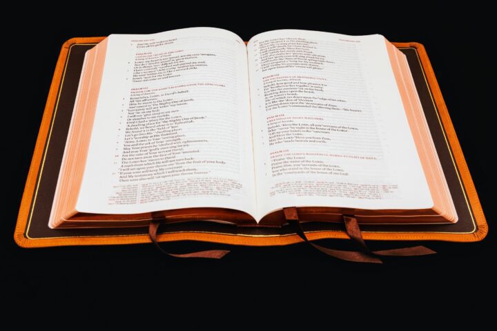 Schuyler Stridon NASB, Full Yapp Tuscany Calfskin Bible – PREORDER - Image 3