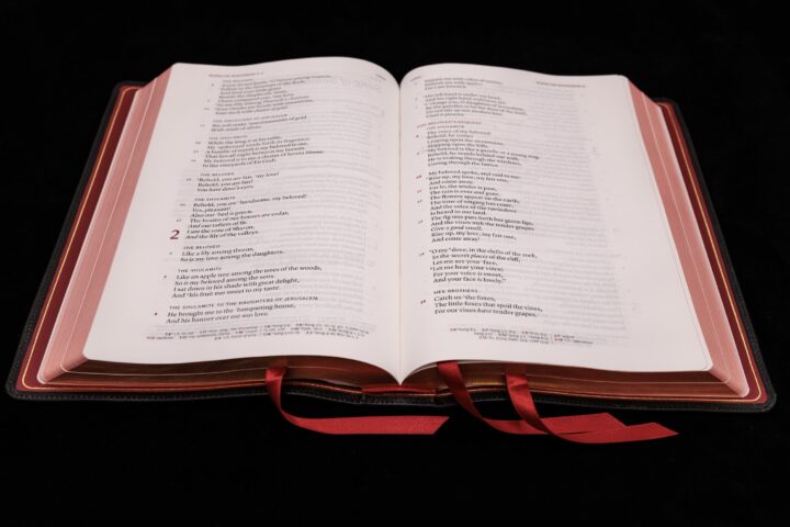 Schuyler Stridon NKJV, Black Goatskin Bible - Image 3