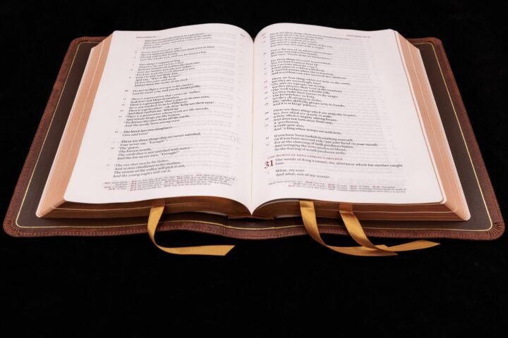 Schuyler Stridon NKJV, Full Yapp Chestnut Calfskin Bible – PREORDER - Image 2