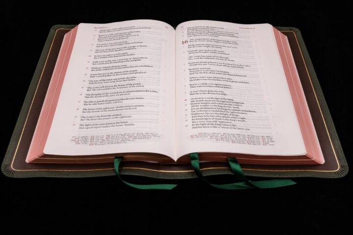 Schuyler Stridon NKJV, Full Yapp Dark Green Goatskin Bible – PREORDER - Image 3