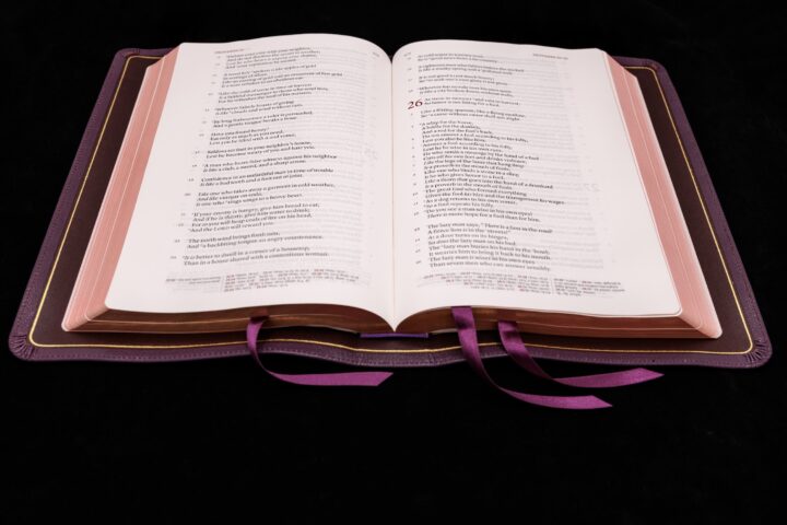 Schuyler Stridon NKJV, Full Yapp Dark Purple Goatskin Bible - Image 2
