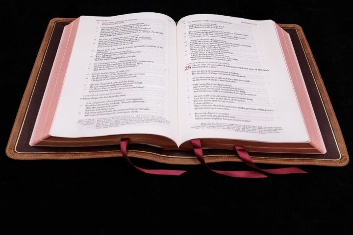 Schuyler Stridon NKJV, Desert Camel Calfskin Bible – PREORDER - Image 2