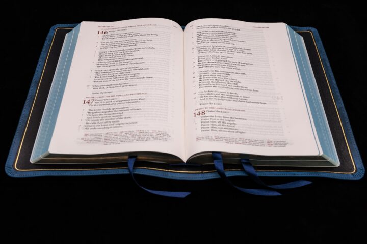 Schuyler Stridon NKJV, Full Yapp Marbled Sapphire Calfskin Bible - Image 3
