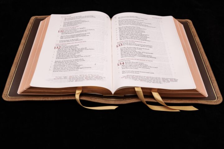 Schuyler Stridon NKJV, Full Yapp Sandstone Calfskin Bible – PREORDER - Image 2