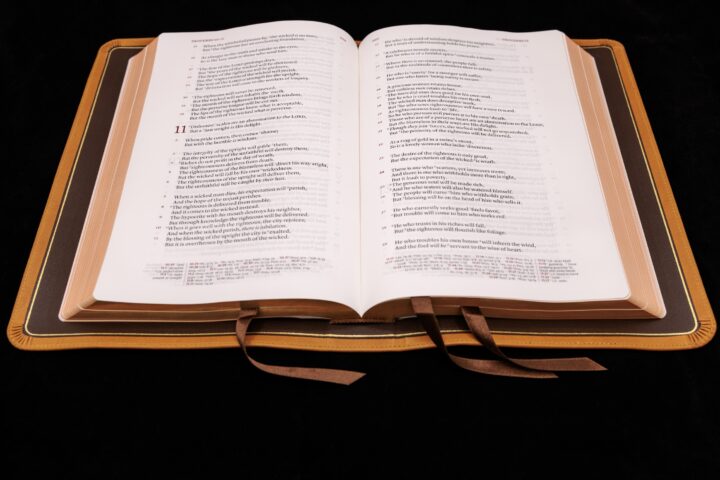 Schuyler Stridon NKJV, Full Yapp Tuscany Calfskin Bible - Image 5
