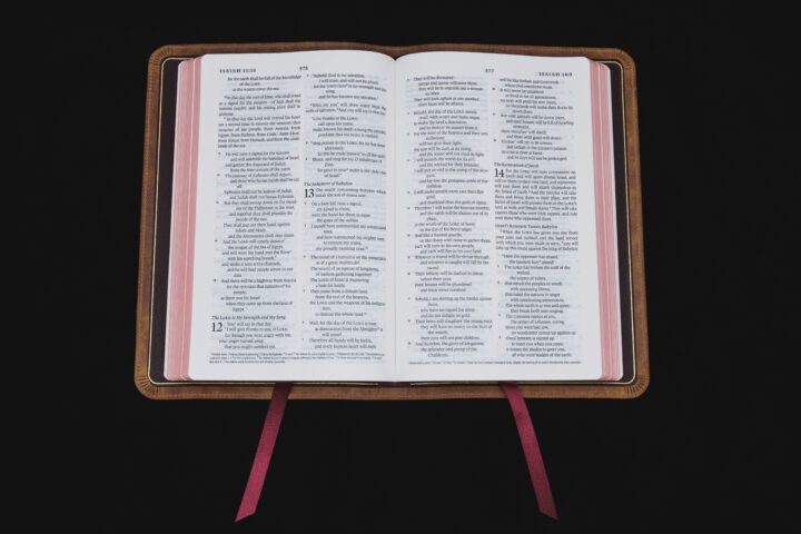 Crossway ESV Heirloom Bible, Thinline Edition, Full Yapp Desert Camel Calfskin – PREORDER - Image 3