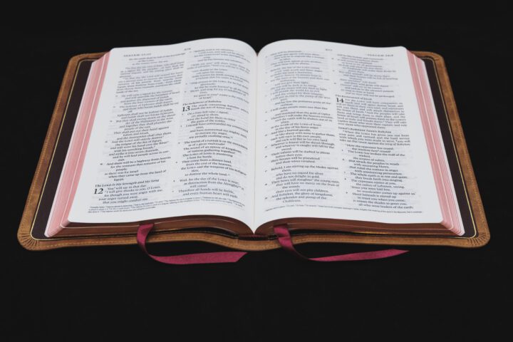 Crossway ESV Heirloom Bible, Thinline Edition, Full Yapp Desert Camel Calfskin – PREORDER - Image 2