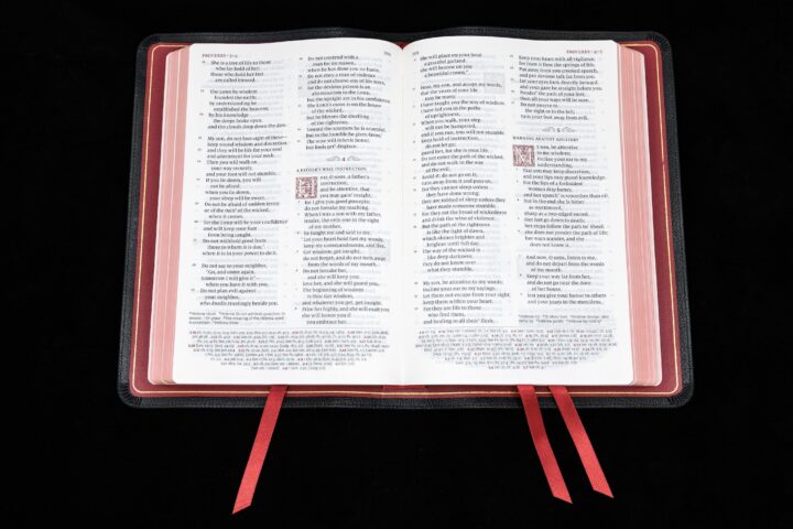 Schuyler Quentel ESV, Black Goatskin Bible – PREORDER - Image 3