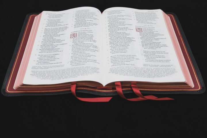 Schuyler Quentel ESV, Black Goatskin Bible – PREORDER - Image 2
