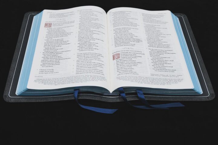 Schuyler Quentel ESV, Full Yapp Black Pearl Calfskin Bible – PREORDER - Image 3