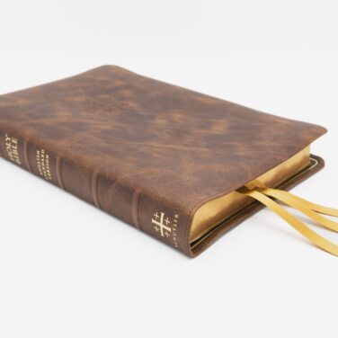 Schuyler Quentel ESV, Chestnut Calfskin Bible – PREORDER