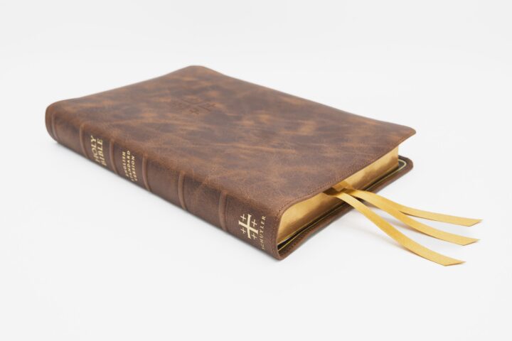 Schuyler Quentel ESV, Chestnut Calfskin Bible – PREORDER