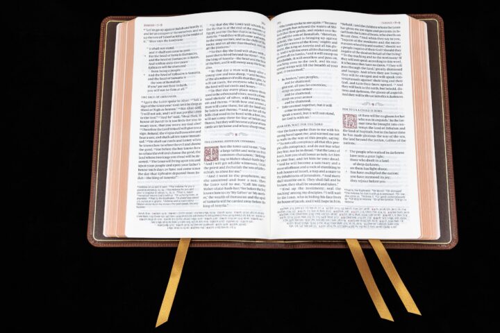 Schuyler Quentel ESV, Chestnut Calfskin Bible – PREORDER - Image 3