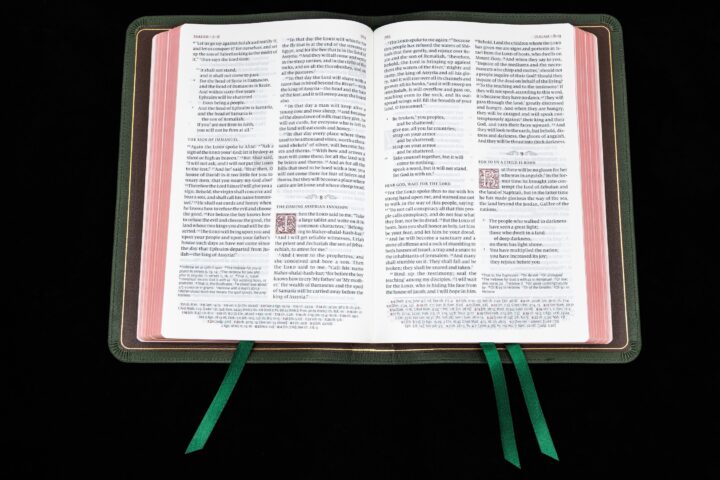 Schuyler Quentel ESV, Full Yapp Dark Green Goatskin Bible – PREORDER - Image 2