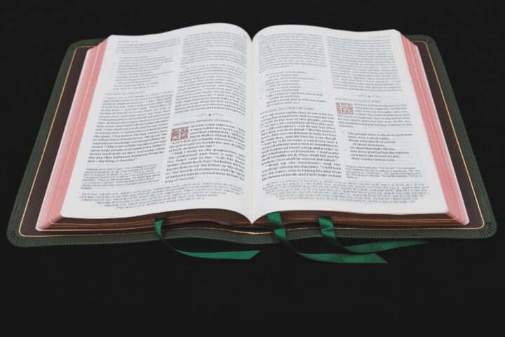 Schuyler Quentel ESV, Full Yapp Dark Green Goatskin Bible – PREORDER - Image 5