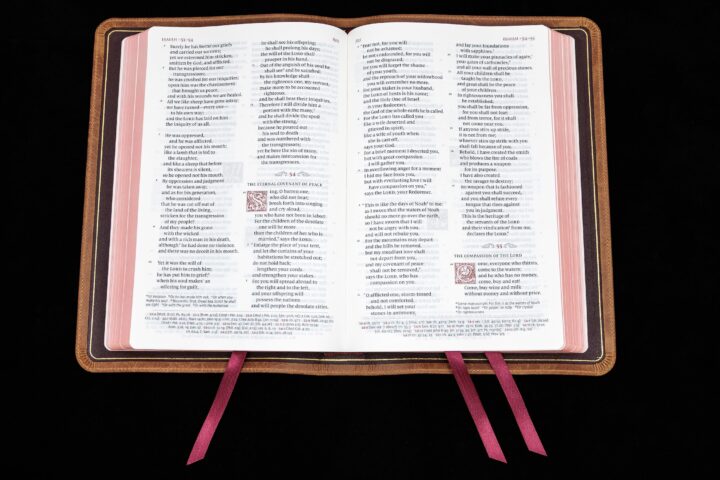 Schuyler Quentel ESV, Full Yapp Desert Camel Calfskin Bible – PREORDER - Image 5